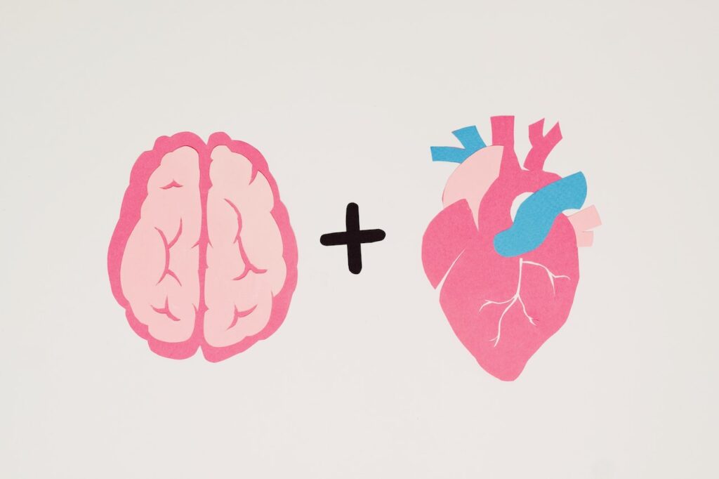 Head and Heart (brain and heart illustration)